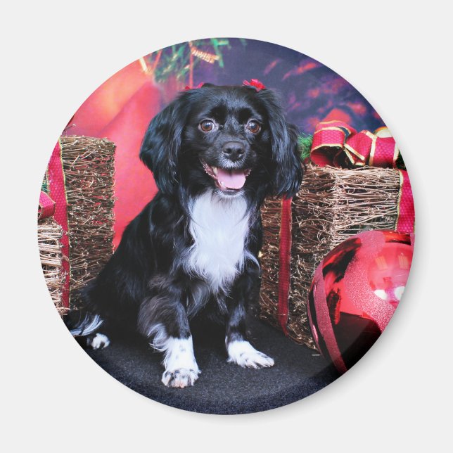 Imã Natal - Docker - Gigi (Frente)