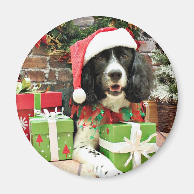 Imã Natal - Espanhol Inglês Springer - Lucy (Frente)