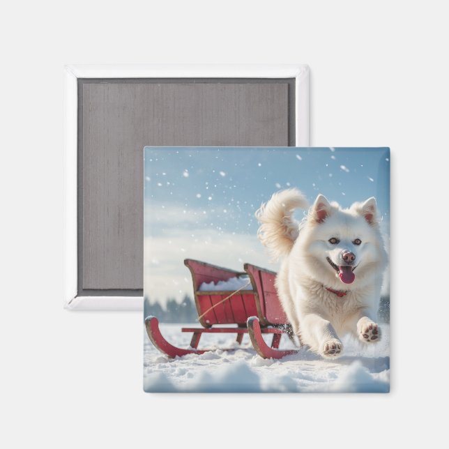 Imã Natal Festivo Samoyed (Front/Back)
