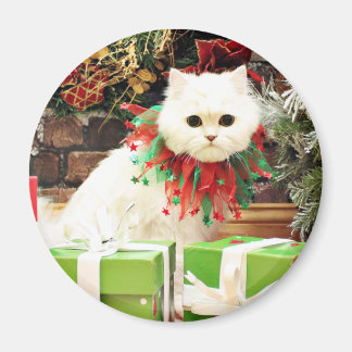 Imã Natal - Gato Persa - Toby