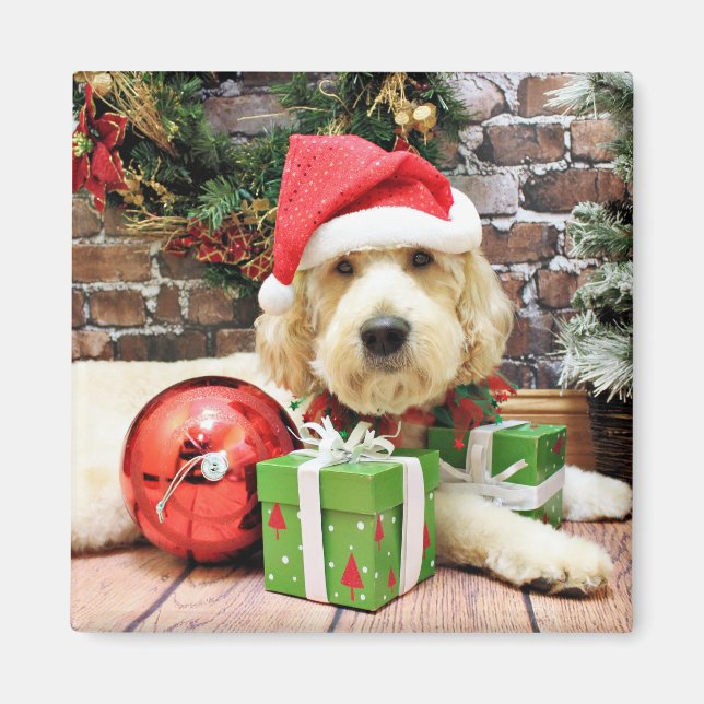 Imã Natal - GoldenDoodle - Gus (Frente)