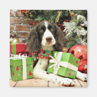 Imã Natal - Inglês Springer Spaniel - Kinzie
