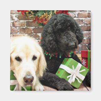 Imã Natal - Labradoodle Miller - Ouro Retriever