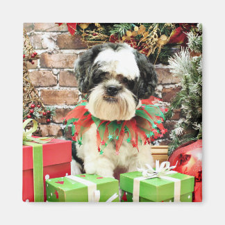 Imã Natal - Lhasa Apso - Parker