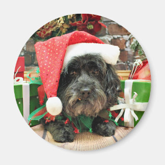 Imã Natal - Lhasa Apso - Pixie
