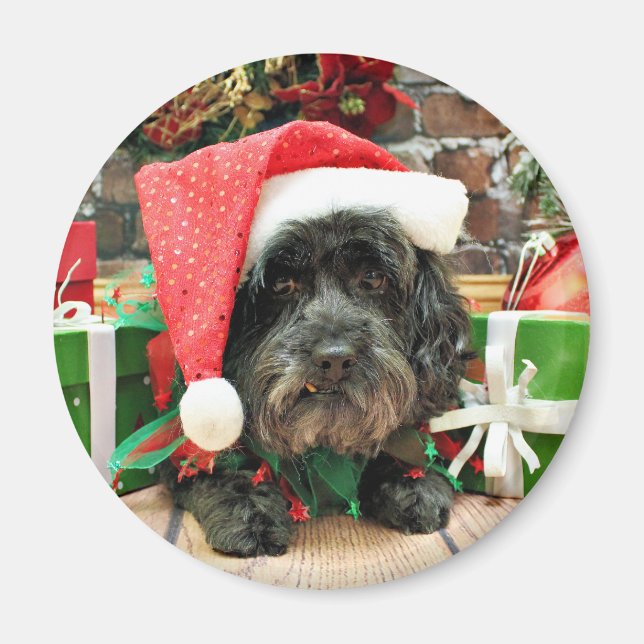 Imã Natal - Lhasa Apso - Pixie (Frente)
