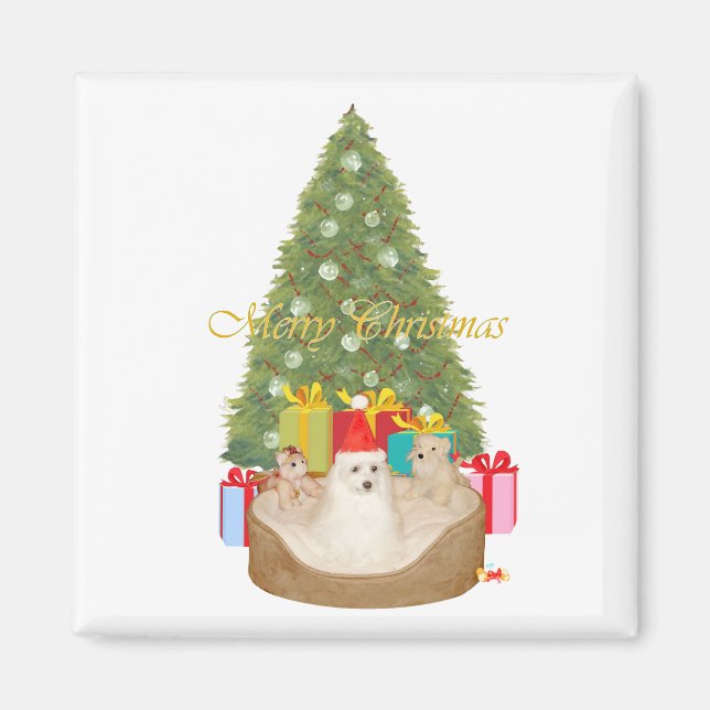 Imã Natal Maltês (Frente)