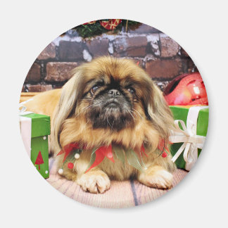 Imã Natal - Pekingese - Pebbles