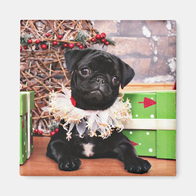 Imã Natal - Pug - Daisy Mae (Frente)