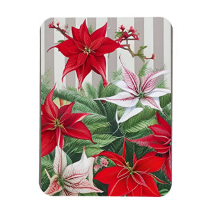 Ímã Natal Red Amaryllis e Poinsettias