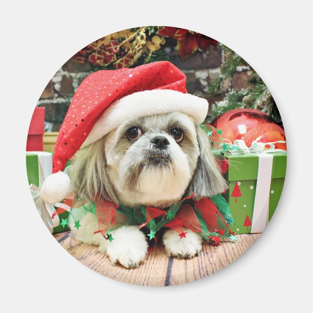 Imã Natal - Shih Tzu - Gizmo (Frente)