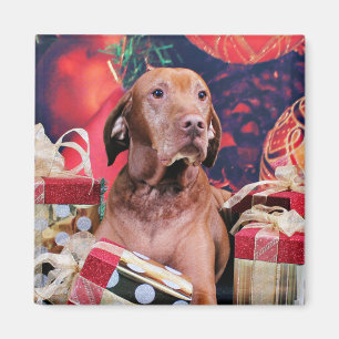 Imã Natal - Vizsla - Budda