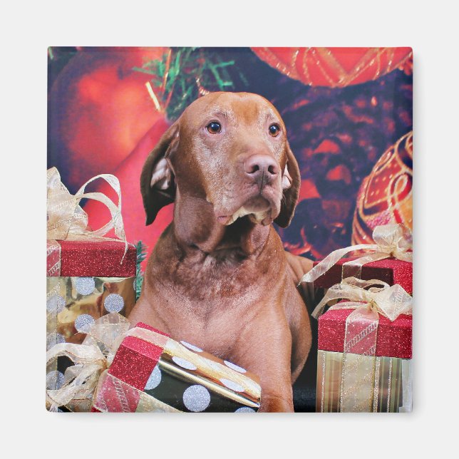 Imã Natal - Vizsla - Budda (Frente)
