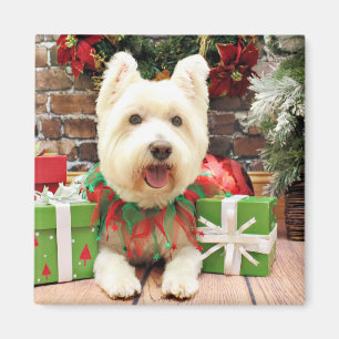Imã Natal - Westie - afortunado