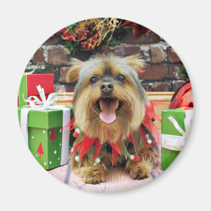 Imã Natal - Yorkie - Eli