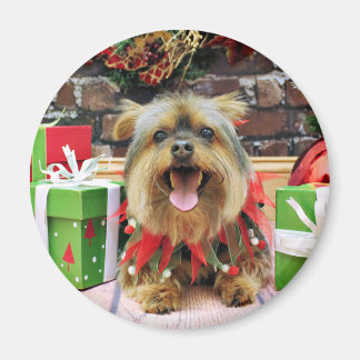 Imã Natal - Yorkie - Eli
