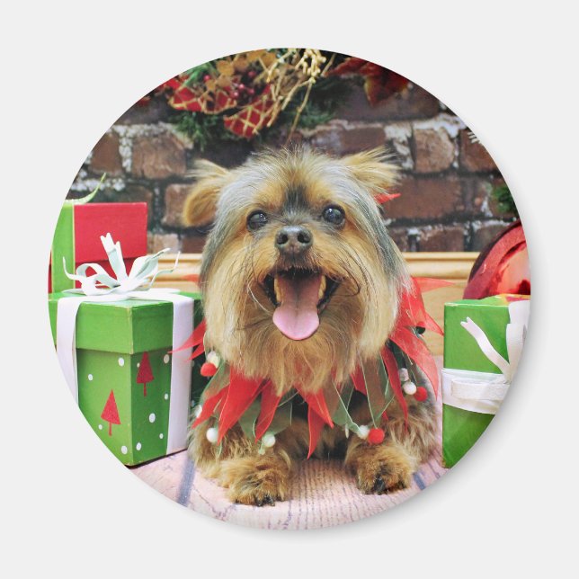 Imã Natal - Yorkie - Eli (Frente)