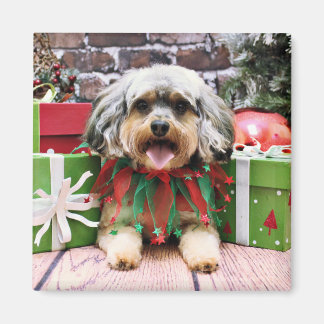 Imã Natal - YorkiPoo - Oliver