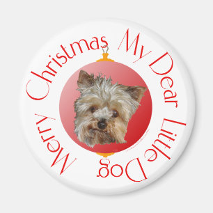 Imã Natal Yorkshire Terrier