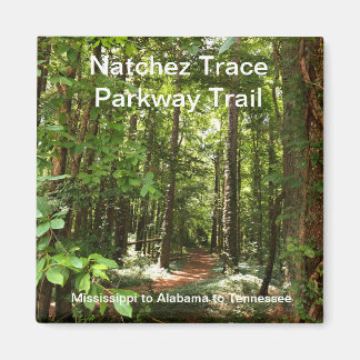 Imã Natchez Trace Parkway Magnet