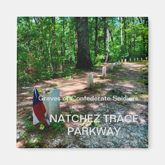 Imã Natchez Trace Parkway-Magnet