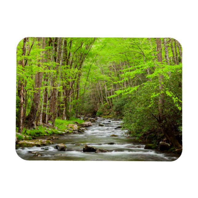 Ímã National Park Carolina do Norte, Montanhas do Enfu (Horizontal)