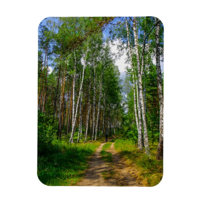 Ímã Nature Landscape Forest Birch Bielorrússia (Vertical)