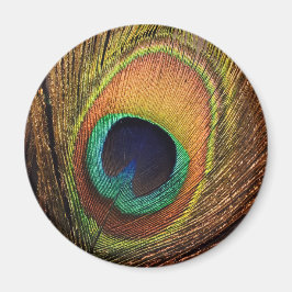 Imã Nature's Art 4Wilma