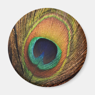 Imã Nature's Art 4Wilma