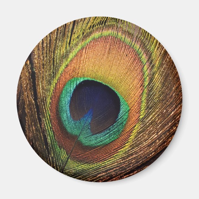 Imã Nature's Art 4Wilma (Frente)