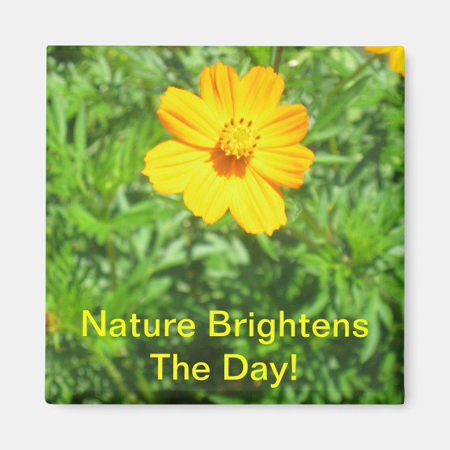 Imã Natures Magnet (Frente)