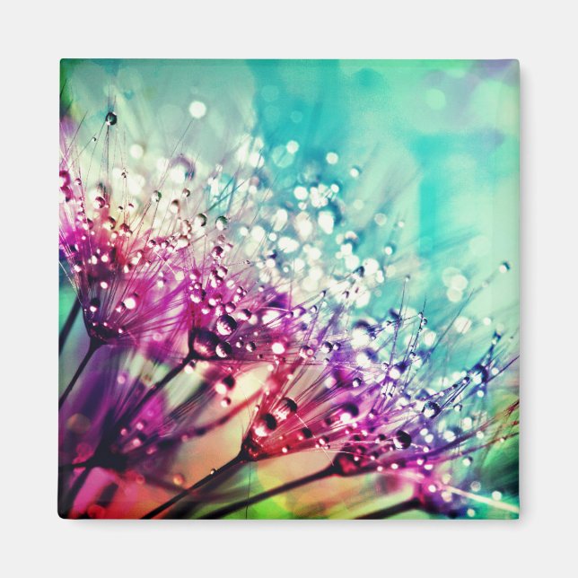 Imã Natureza (Frente)