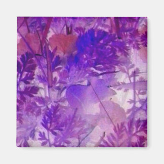 Imã Natureza do rico