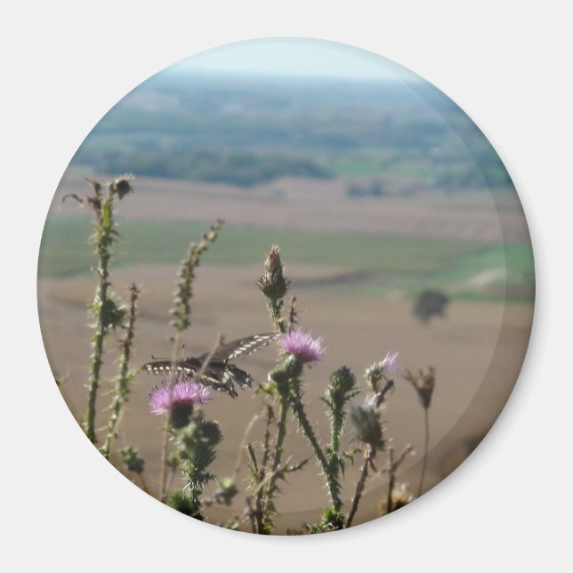 Imã Natureza e Borboleta Fotografia (Frente)