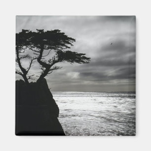 Imã Natureza Fotografia preto e branco