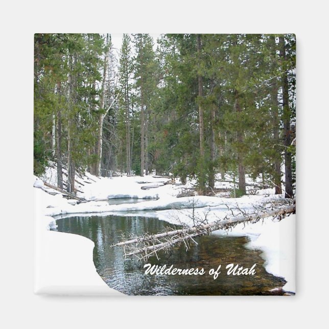 Imã Natureza selvagem de Utah (Frente)