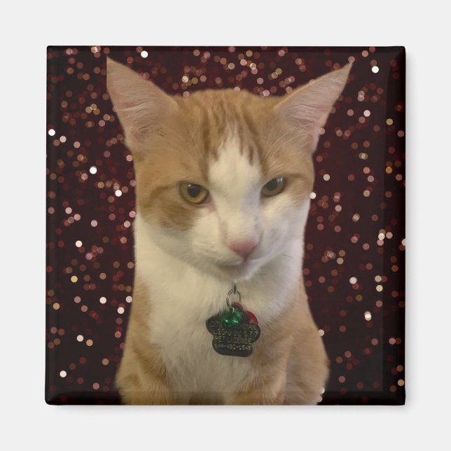 Imã Naughty Cat (Frente)