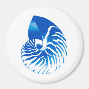 Imã Nautilus shell - azul de cobalto e branco