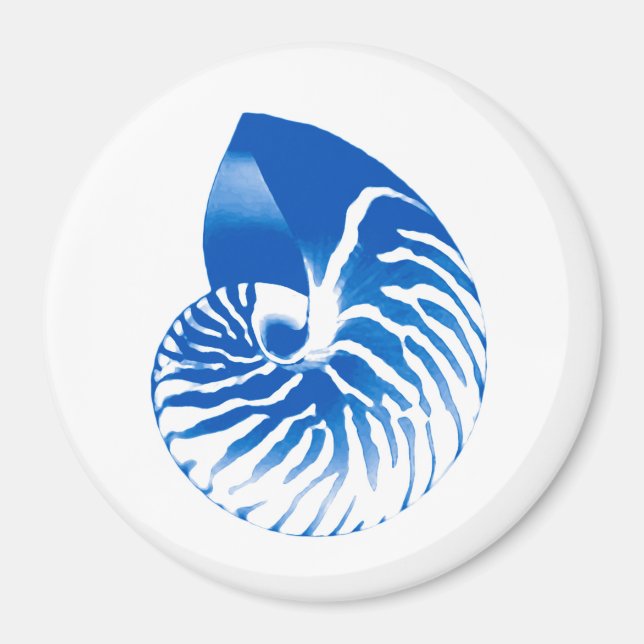 Imã Nautilus shell - azul de cobalto e branco (Frente)