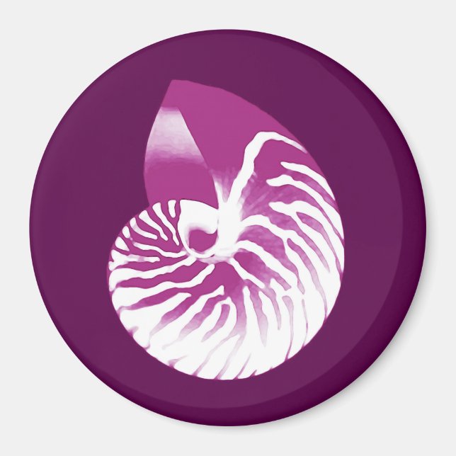 Imã Nautilus shell - berinjela roxa e branca (Frente)