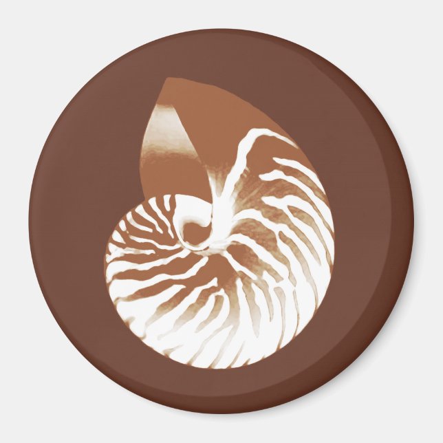 Imã Nautilus shell - cacau castanho e branco (Frente)