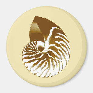 Imã Nautilus shell - castanho, branco e bege