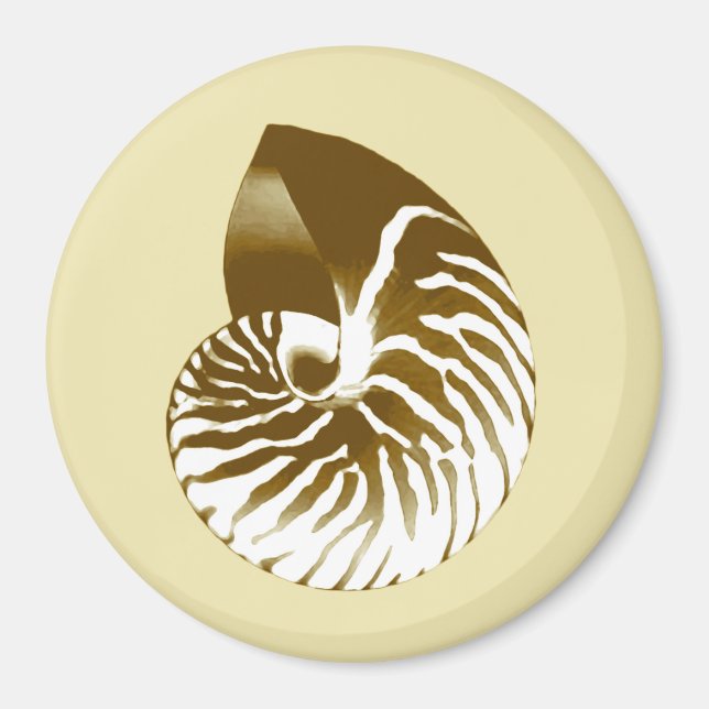 Imã Nautilus shell - castanho, branco e bege (Frente)