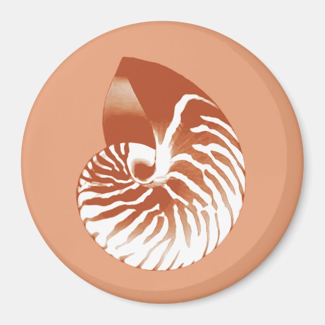 Imã Nautilus shell - terracotta e branco (Frente)