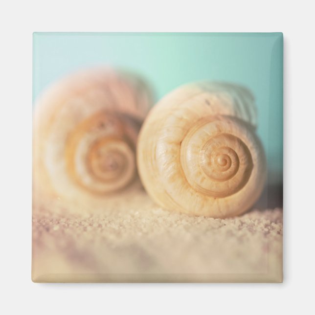 Imã Nautilus Shells On Beach (Frente)