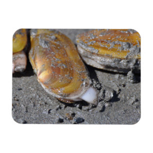 Ímã Navalhas Diggging