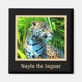 Imã Nayla, o Magneta Jaguar