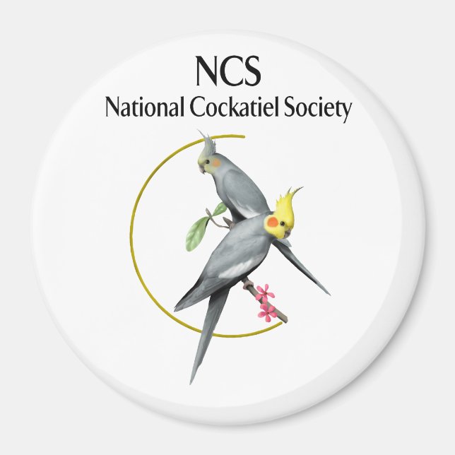 Imã NCS Grande Magneta redonda de 3 polegadas (Frente)