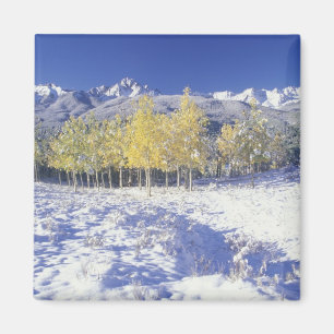 Imã NE, EUA, Colorado, Montanhas San Juan Neve fresca