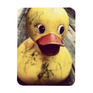Ímã Necessidades Ducky de borracha amarelas um banho!